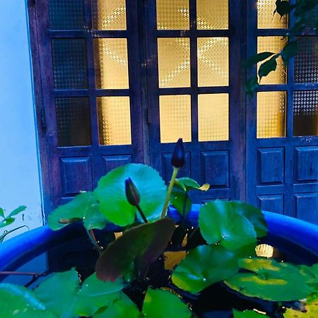 Sachi'S Place Tangalle Exterior foto